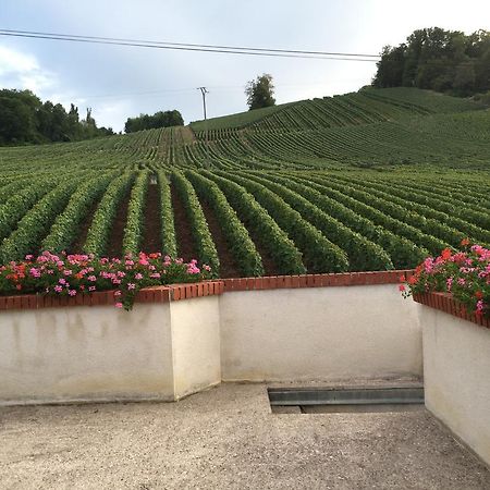 La Loge Du Vigneron Βίλα Vauciennes  Εξωτερικό φωτογραφία