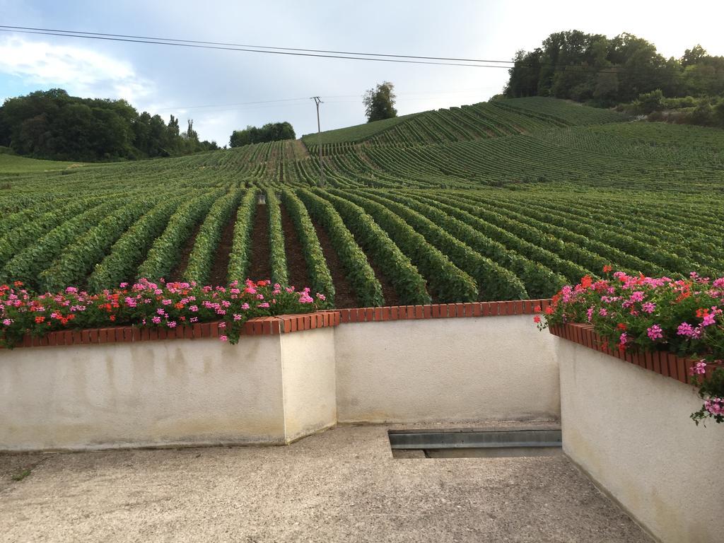 La Loge Du Vigneron Βίλα Vauciennes  Εξωτερικό φωτογραφία
