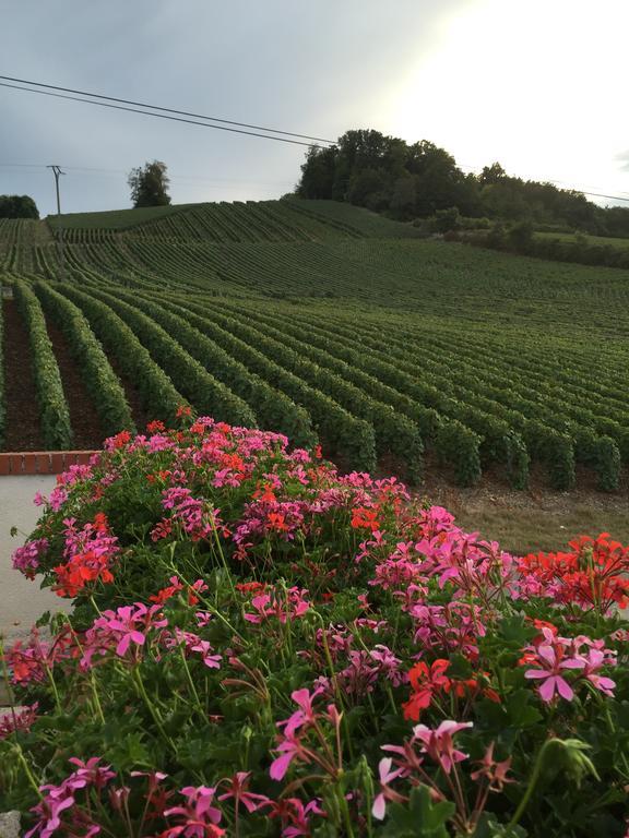 La Loge Du Vigneron Βίλα Vauciennes  Εξωτερικό φωτογραφία