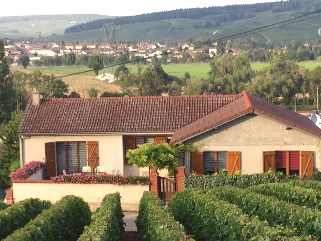 La Loge Du Vigneron Βίλα Vauciennes  Εξωτερικό φωτογραφία